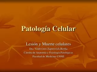 patolog a celular