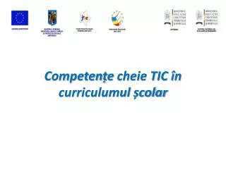 competen e cheie tic n curriculumul colar