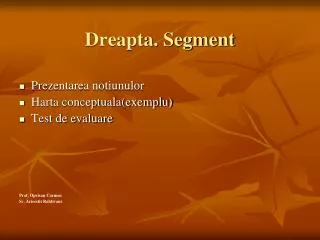dreapta segment