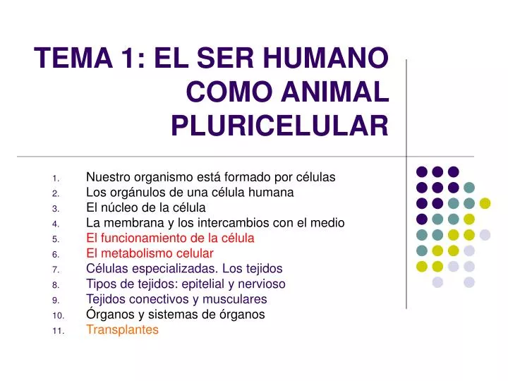 tema 1 el ser humano como animal pluricelular