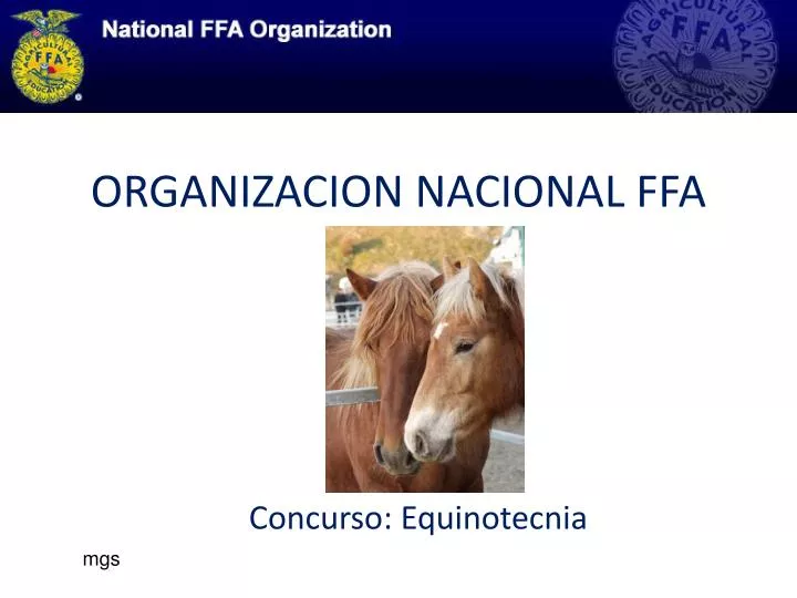 organizacion nacional ffa