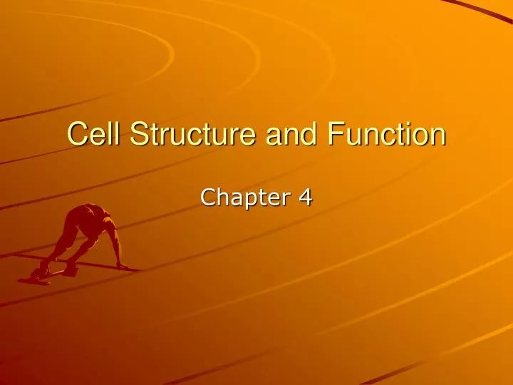 cell structure and function