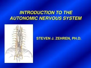 INTRODUCTION TO THE AUTONOMIC NERVOUS SYSTEM STEVEN J. ZEHREN, PH.D.