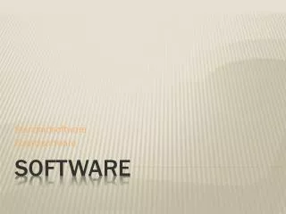 standardsoftware zusatzsoftware