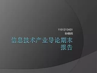 1101213431