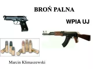 bro palna