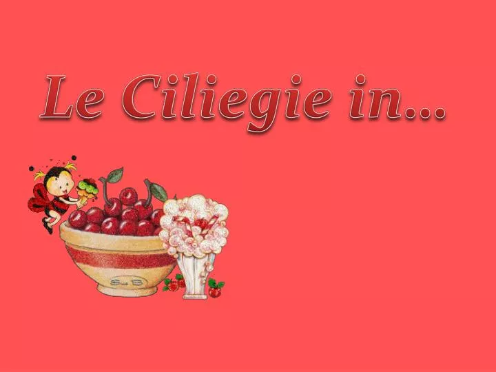 le ciliegie in