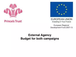 External Agency Budget for both campaigns
