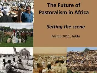 The Future of Pastoralism in Africa