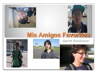 mis amigos favoritos