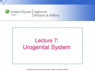 Lecture 7: Urogenital System