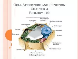 Cell Structure and Function Chapter 4 Biology 100