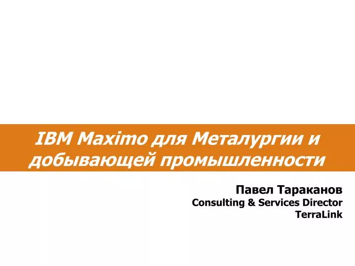 consulting services director terralink