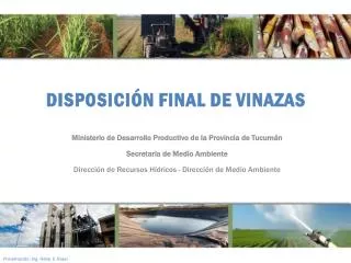 disposici n final de vinazas