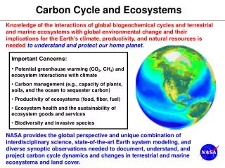 Carbon Cycle and Ecosystems
