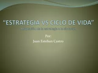 estrategia vs ciclo de vida adaptaci n de la estrategia a la situaci n