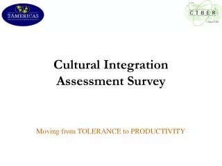 Cultural Integration Assessment Survey