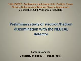 Preliminary study of electron/ hadron discrimination with the NEUCAL detector