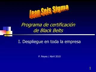 programa de certificaci n de black belts