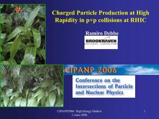 Charged Particle Production at High Rapidity in p+p collisions at RHIC