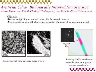 Many types of nanowires are being grown.