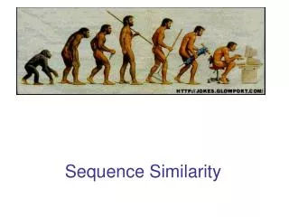 Sequence Similarity