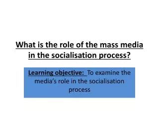 What is the role of the mass media in the socialisation process?