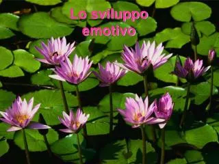 lo sviluppo emotivo