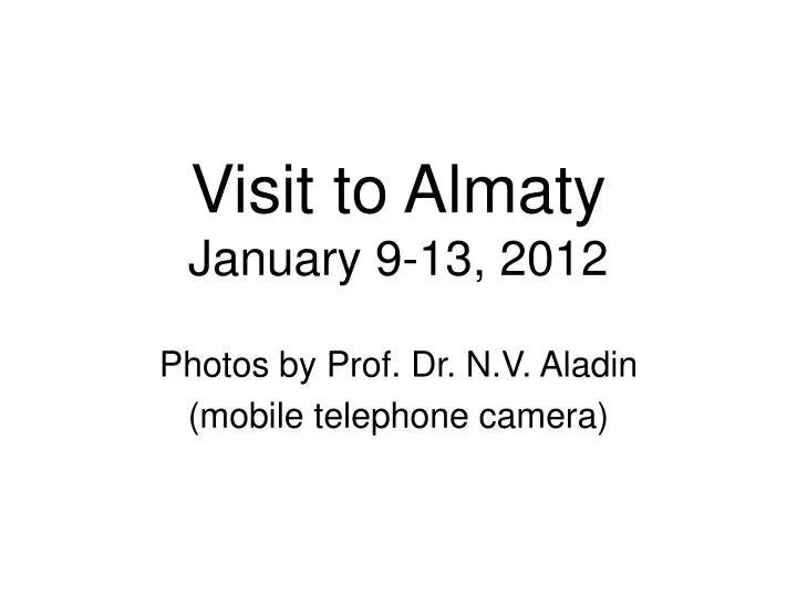 visit to almaty january 9 13 2012