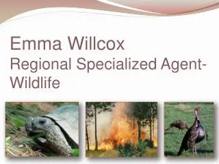 Emma Willcox Regional Specialized Agent- Wildlife
