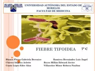 fiebre tifoidea