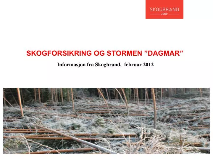 skogforsikring og stormen dagmar