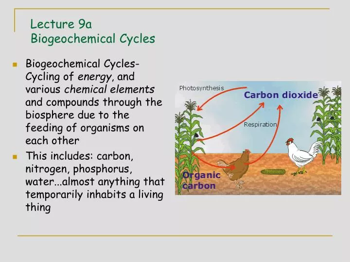 lecture 9a biogeochemical cycles