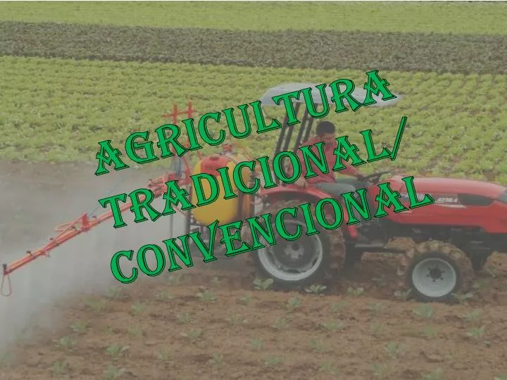 agricultura tradicional convencional