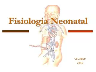 fisiologia neonatal