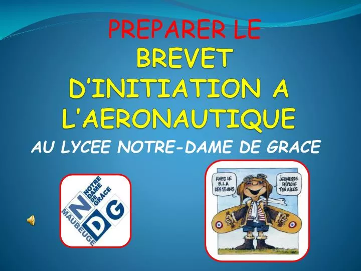 brevet d initiation a l aeronautique