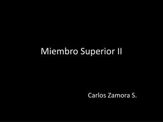 miembro superior ii