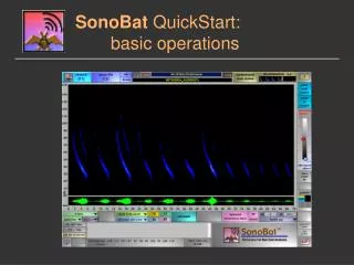 SonoBat QuickStart: 		basic operations