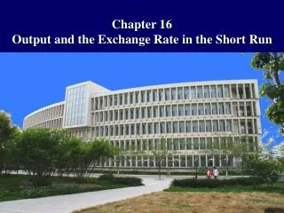 Chapter 16 Output and the Exchange Rate in the Short Run