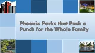 Phoenix Parks that Pack a Punch for the Whole Family