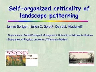 Self-organized criticality of landscape patterning