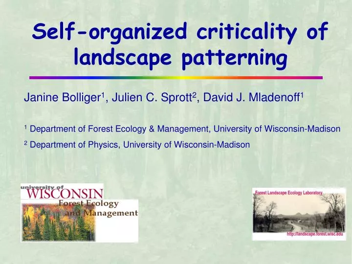 self organized criticality of landscape patterning