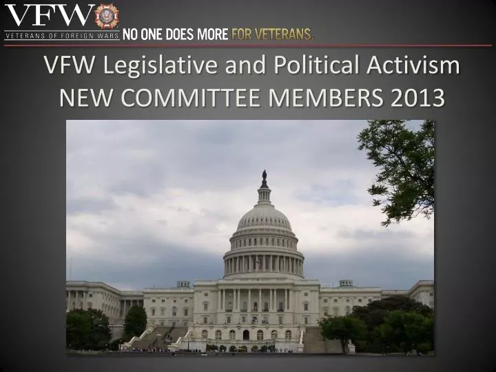 vfw legislative and political activism new committee members 2013