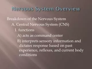 Nervous System Overview