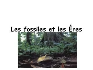 les fossiles et les res