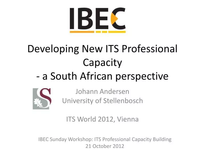 developing new its professional capacity a south african perspective