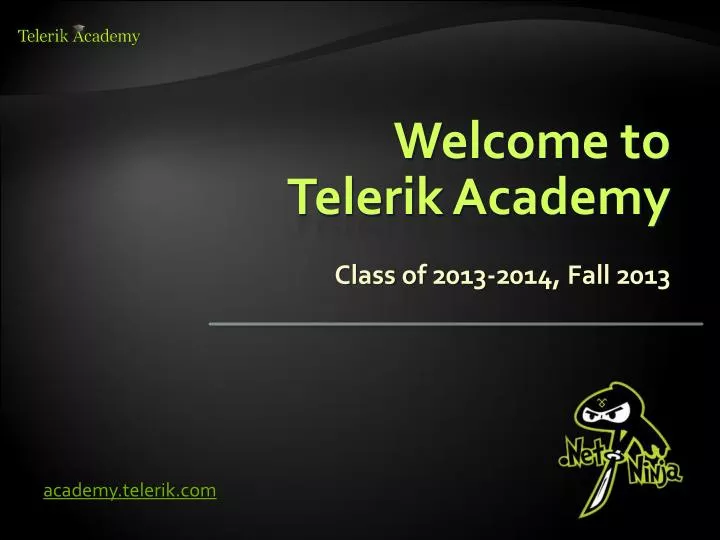 welcome to telerik academy