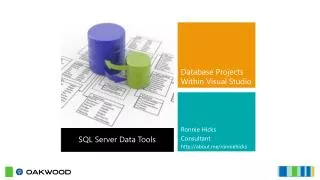 Database Projects Within Visual Studio