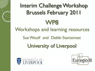 Interim Challenge Workshop Brussels February 2011