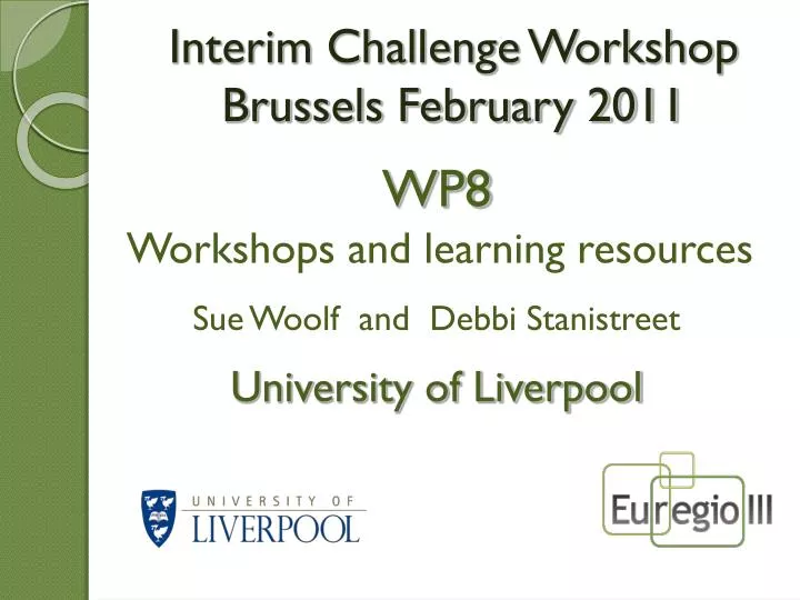 interim challenge workshop brussels february 2011